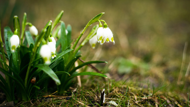 © Depositphotos.com