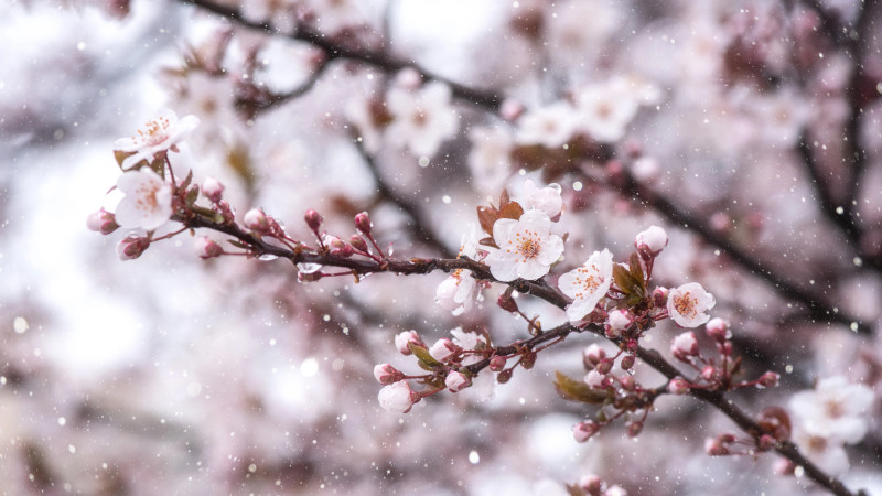 © Depositphotos.com