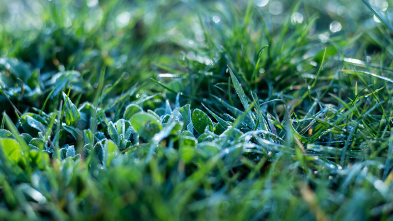 © Depositphotos.com