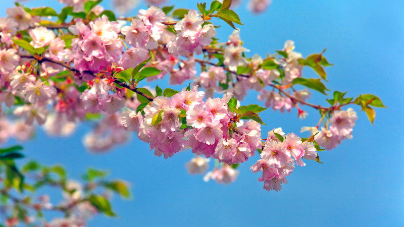 © Depositphotos.com