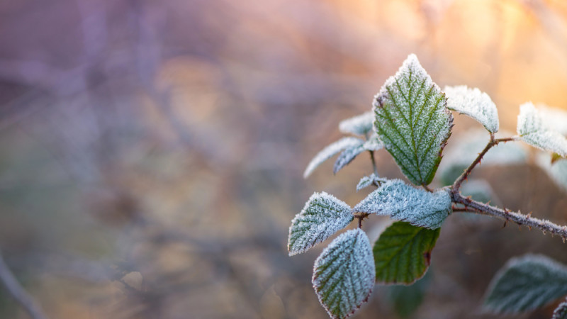 © Depositphotos.com