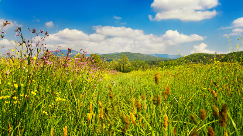 © Depositphotos.com