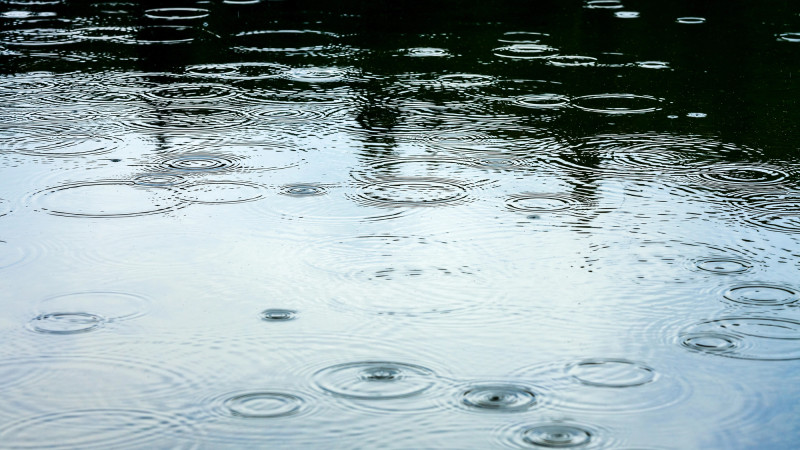 Photo:depositphotos.com