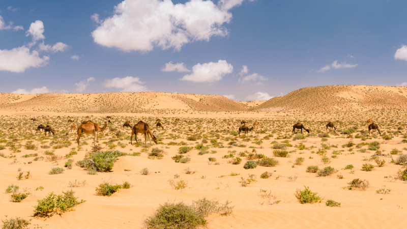 Photo:depositphotos.com