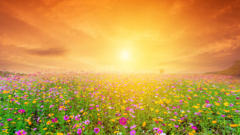 Photo:depositphotos.com