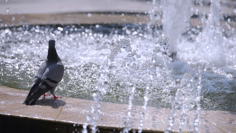 Photo:depositphotos.com