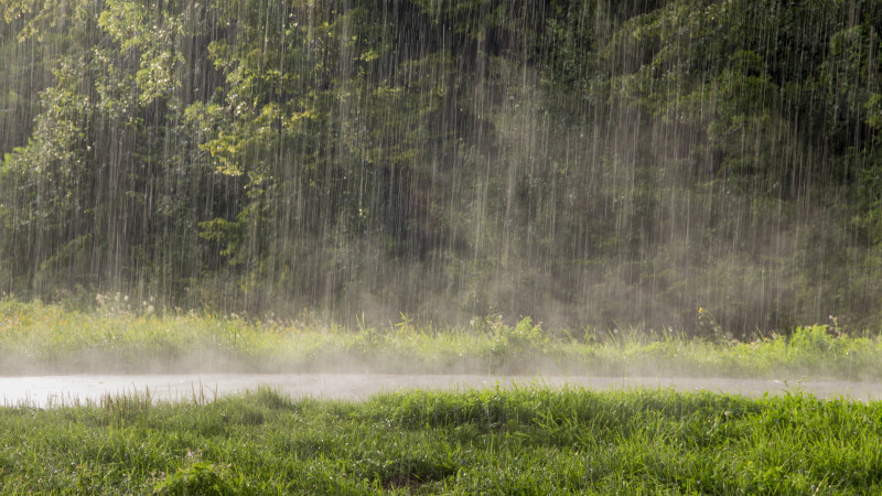 Photo:depositphotos.com