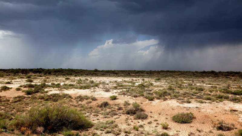 © Depositphotos.com