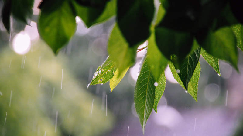 Photo:depositphotos.com
