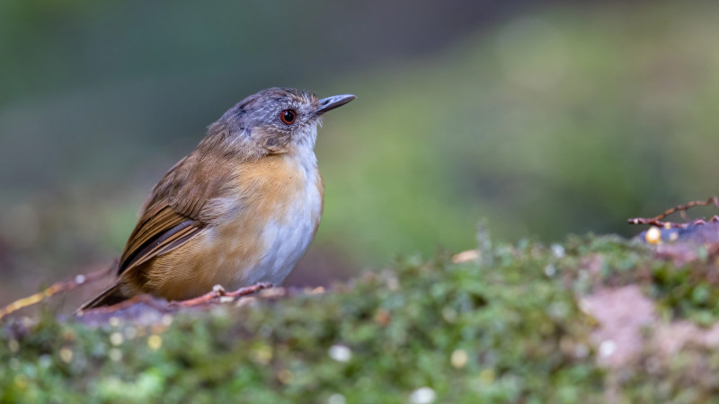 Photo:depositphotos.com