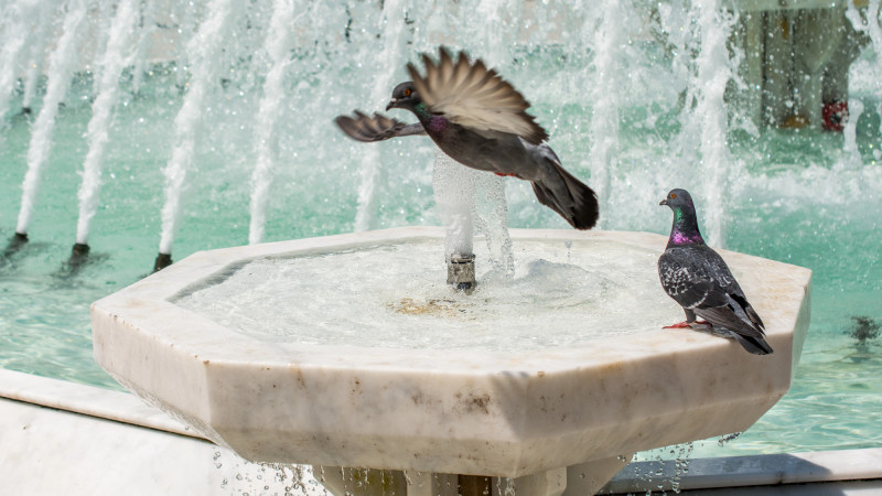 Photo:depositphotos.com