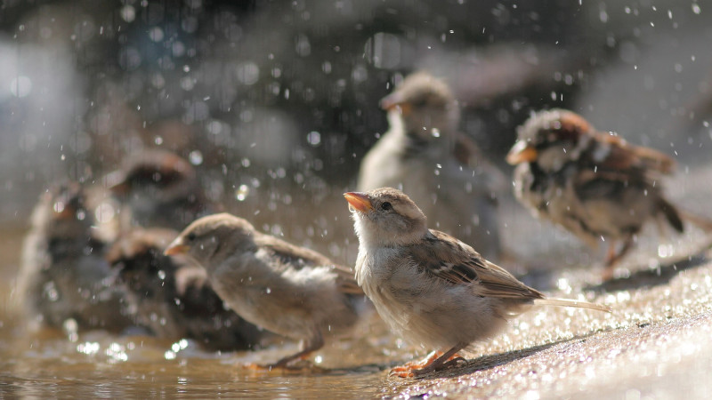 Photo:depositphotos.com