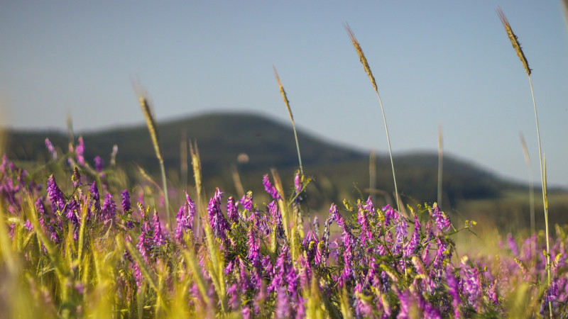 Photo:depositphotos.com