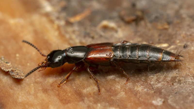 Photo:depositphotos.com