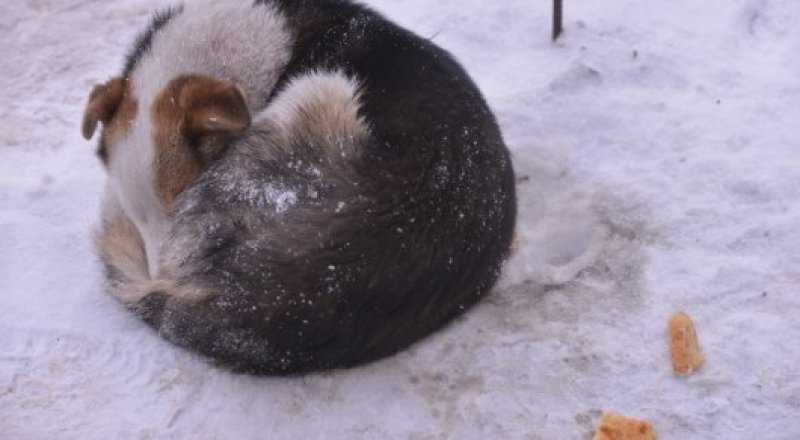 © Тұрар Қазанғапов