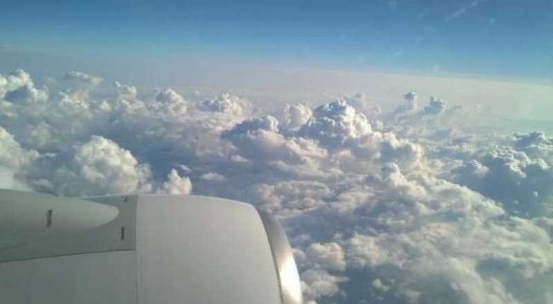 Еркін дереккөзден алынған сурет