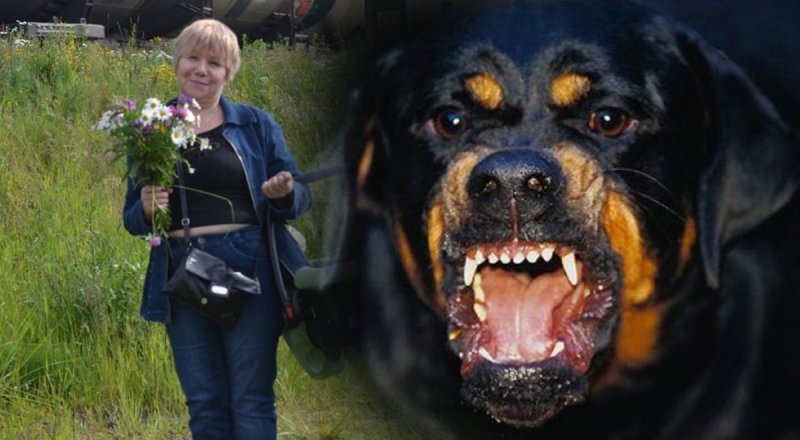 Коллаж. © Tengrinews.kz