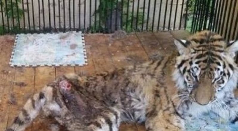 Құралай. © 365info.kz