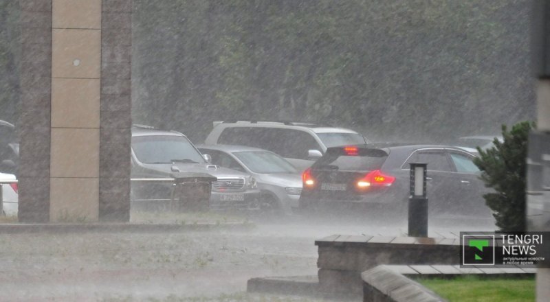 © Николай Колесников 