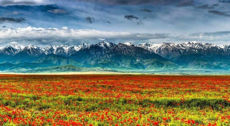 © Максим Рожин