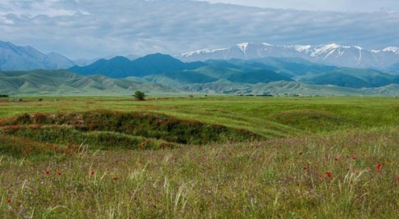 © Тұрар Қазанғапов