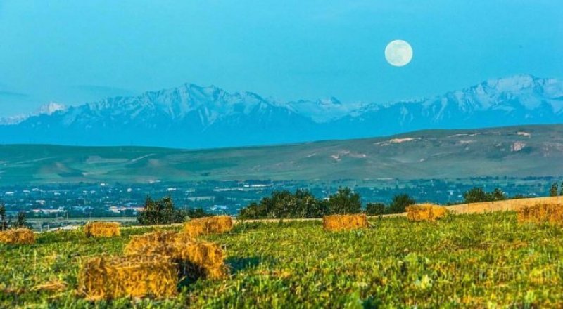 © Максим Рожин 