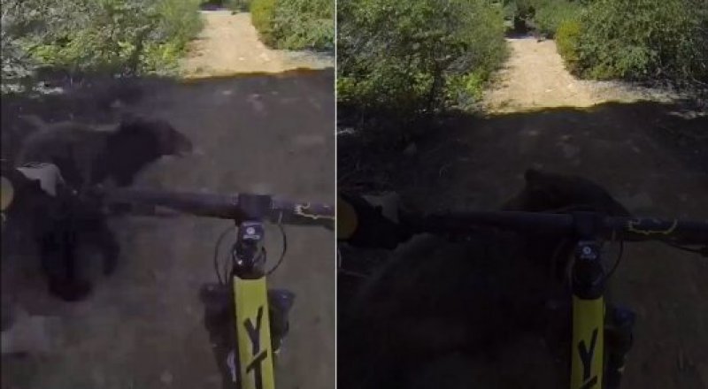 Роликтің кадры