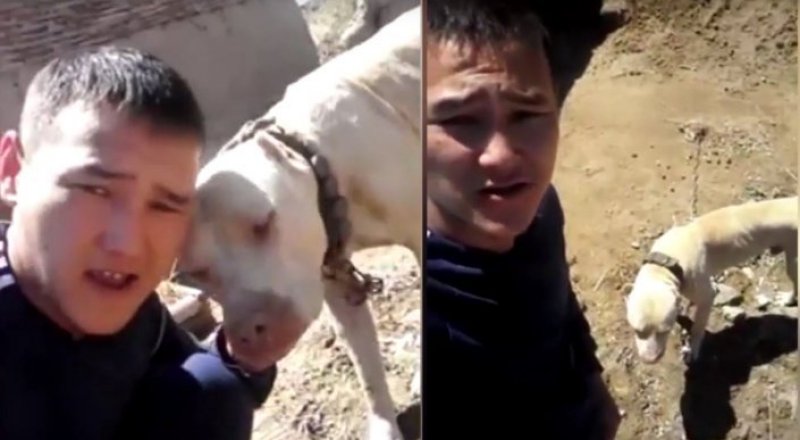 Видео кадры