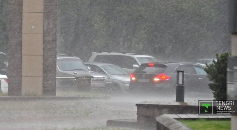 © Николай Колесников