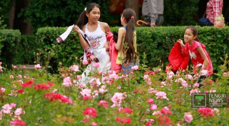 © Николай Колесников