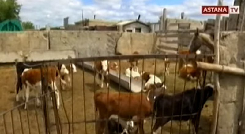 © "Астана" телеарнасының кадры