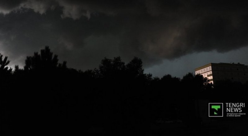 © Николай Колесников