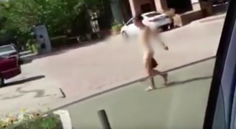 Видеодан алынған кадр