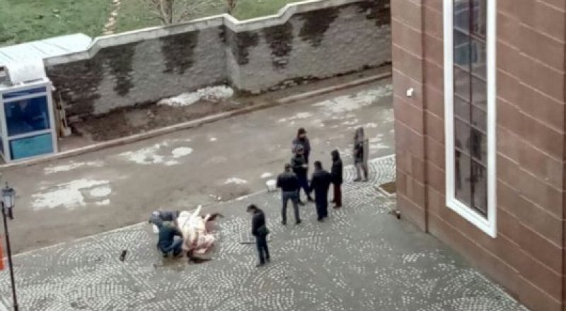 Куәгердің жолдаған суреті