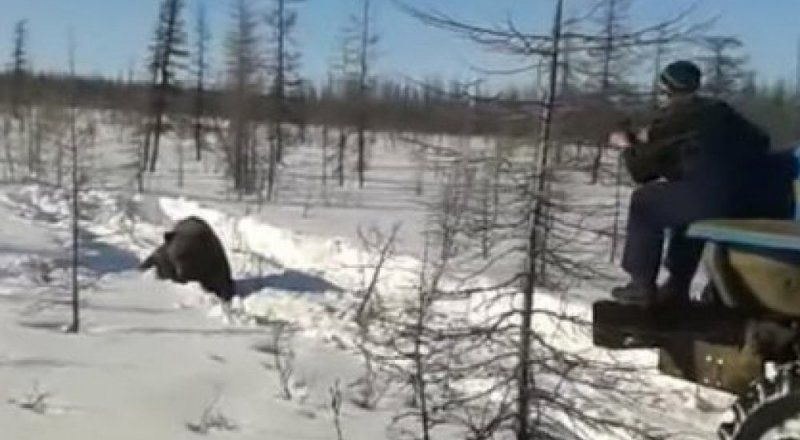 Видеоның кадры