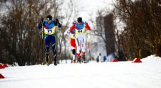 © almaty2017.com