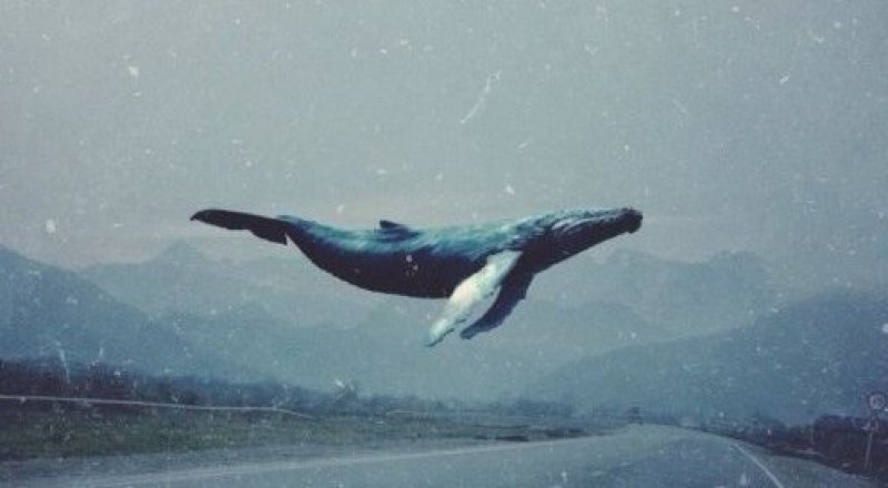 © zdorovie.akipress.org