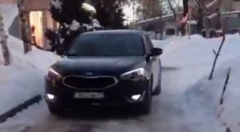 Видеодан кадр