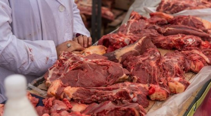 © Тұрар Қазанғапов