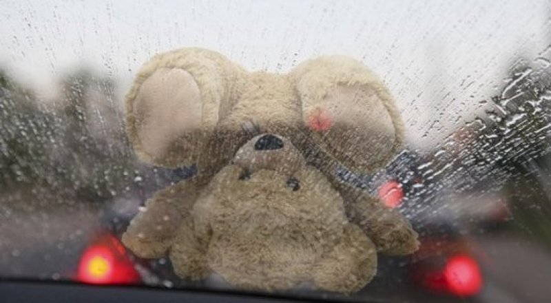 Иллюстрациялық сурет