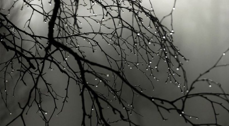 © smartcity_msk - LiveJournal