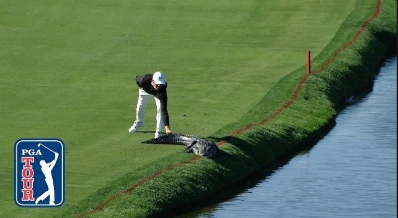 видеодан үзінді