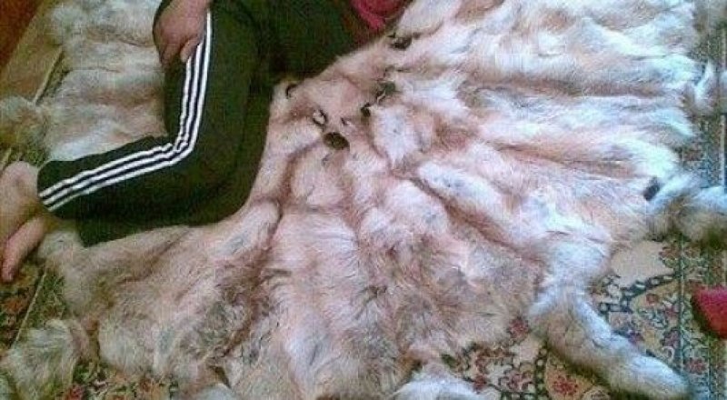 Әлеуметтік желілерден алынған сурет.