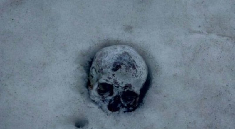 Сурет әлеуметтік желіден.