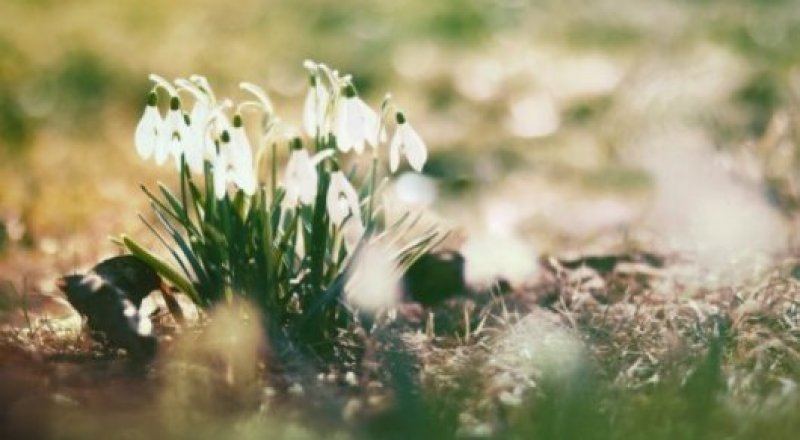 © wallpaperscraft.ru