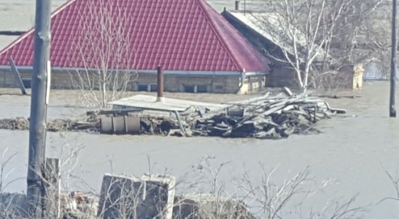 © Талғат Сатыбалдин