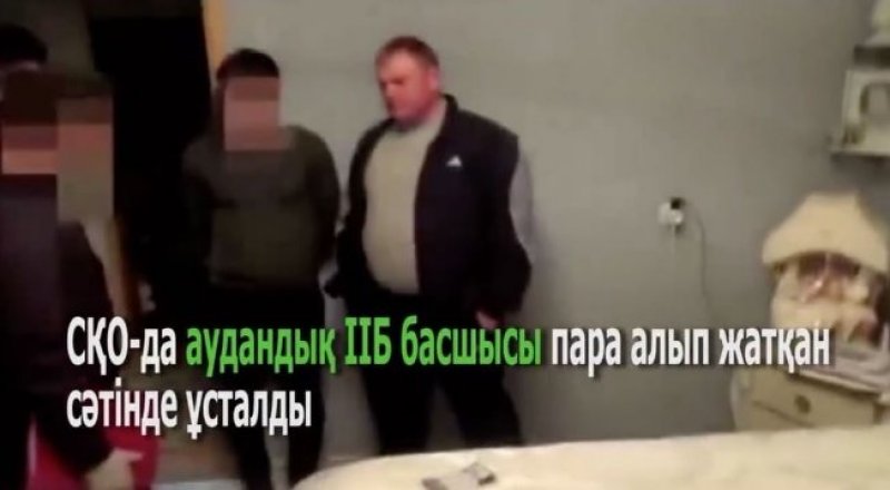 Видеодан скриншот