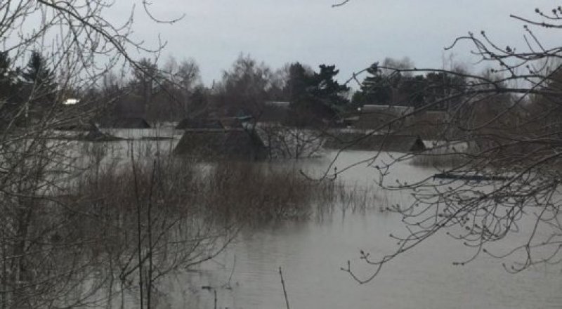 Петропавлда cу астында қалған үйлер.