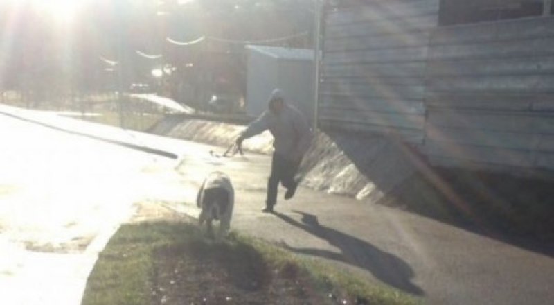 © Алматы қалалық ІІД баспасөз қызметі