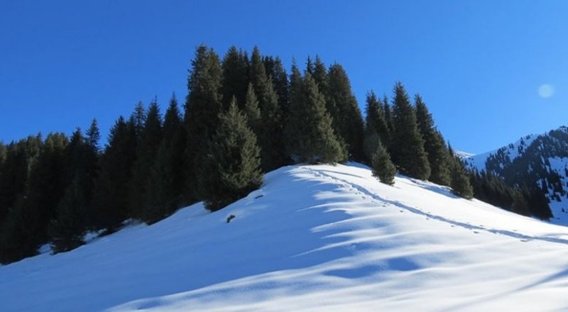 © miss_crazy - LiveJournal